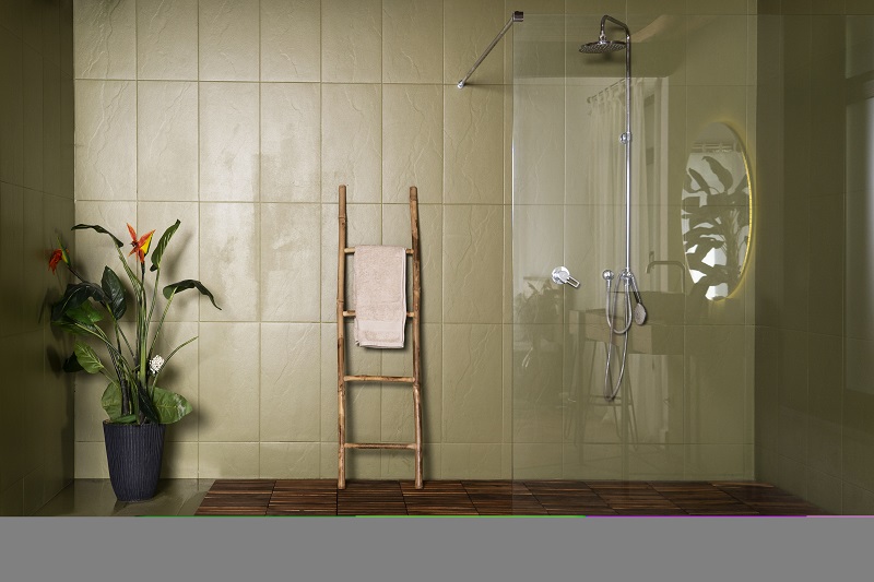 tub-to-shower-conversion